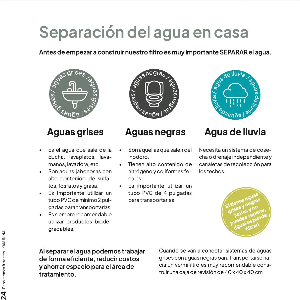 Ecosistemas filtrantes - soluciones basadas en la naturaleza para limpiar aguas residuales -Yakunina - Red de guardianes de semillas